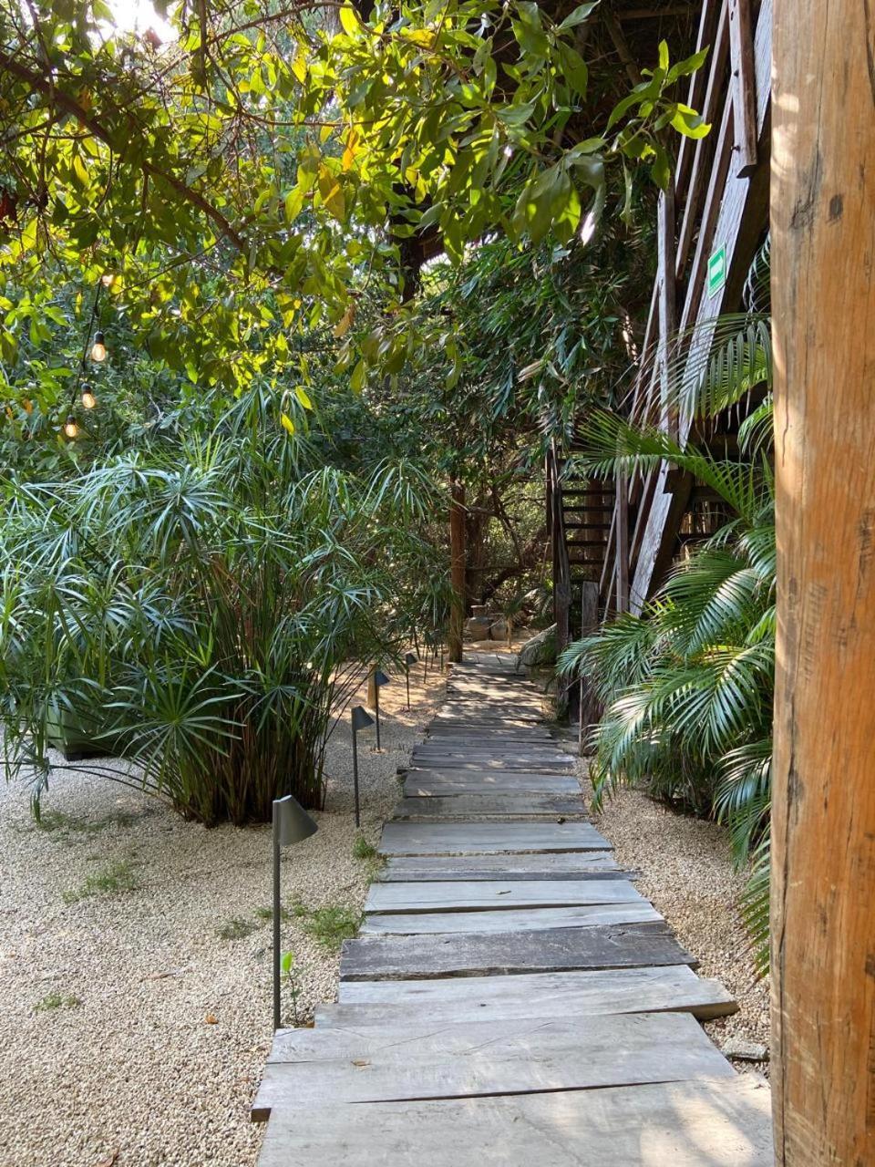 Amor Rooms Tulum Bagian luar foto