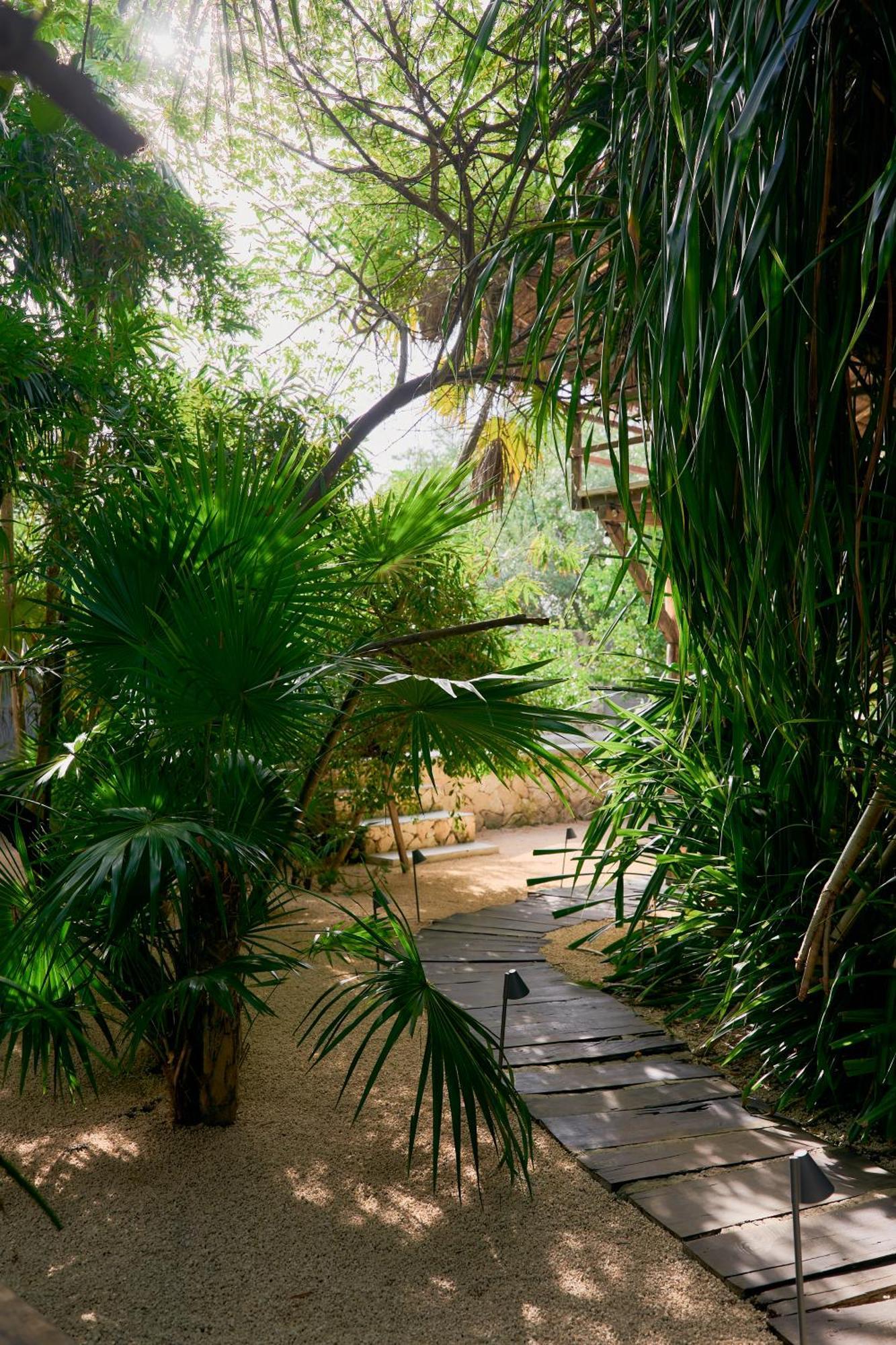 Amor Rooms Tulum Bagian luar foto
